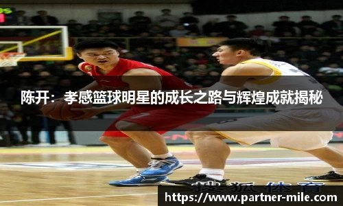 陈开：孝感篮球明星的成长之路与辉煌成就揭秘